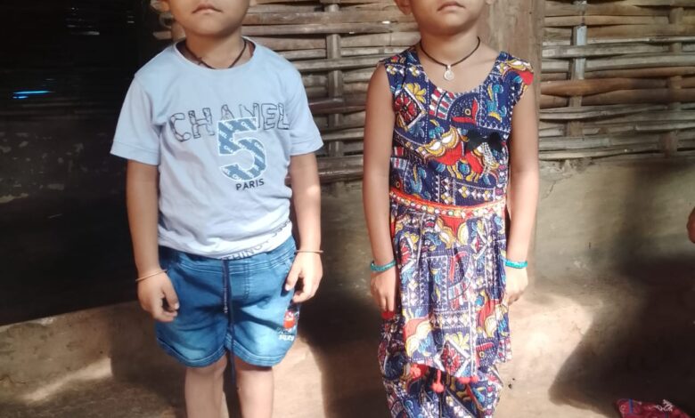 नन्हे कदमों की बड़ी सफलता: निहारिका और निहाल की सुपोषित यात्रा, नारायणपुर जिले में पोषण अभियान के प्रयास से जुड़वा बच्चों ने कुपोषण पर पाई जीत….