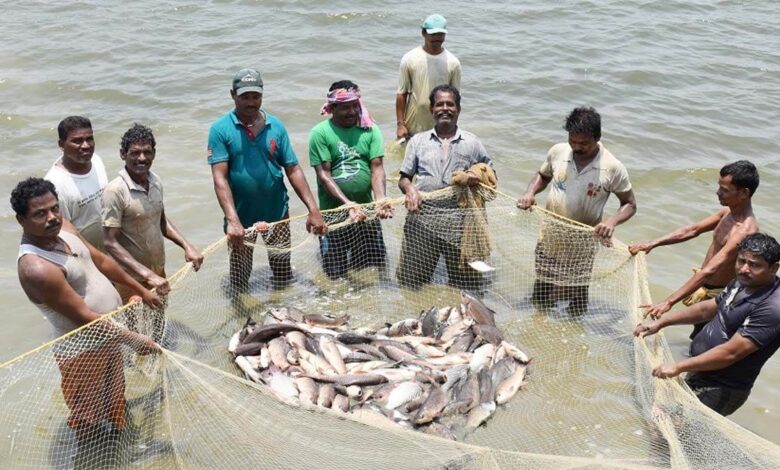 आत्मनिर्भरता और आर्थिक स्थिरता का मजबूत आधार बना-मत्स्य पालन: ग्रामीण समृद्धि की नई पहचान, तकनीक और परिश्रम से तरक्की की सफर…. आत्मनिर्भरता और आर्थिक स्थिरता का मजबूत आधार बना-मत्स्य पालन: ग्रामीण समृद्धि की नई पहचान, तकनीक और परिश्रम से तरक्की की सफर….