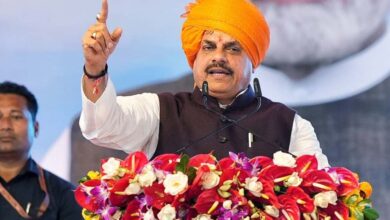 गोवर्धन पर्वः प्रकृति से सह-अस्तित्व और समग्र विकास का उत्सव-डॉ. मोहन यादव