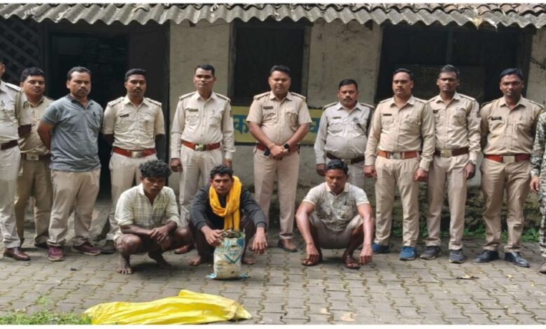 वन विभाग की तत्परता से पकड़े गए तीन आरोपी: मृत हाथी का मामला सुलझा…. वन विभाग की तत्परता से पकड़े गए तीन आरोपी: मृत हाथी का मामला सुलझा….