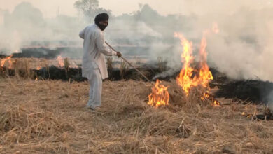 यूपी सरकार की सौगात.. पराली के बदले मिलेगी गोबर की खाद! यूपी सरकार की सौगात.. पराली के बदले मिलेगी गोबर की खाद!
