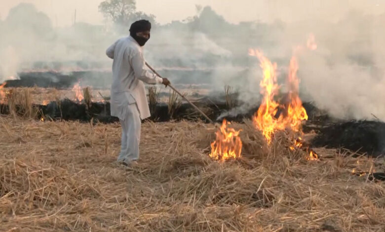 यूपी सरकार की सौगात.. पराली के बदले मिलेगी गोबर की खाद! यूपी सरकार की सौगात.. पराली के बदले मिलेगी गोबर की खाद!