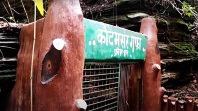 विश्व प्रसिद्ध कुटुमसर गुफा के द्वार खुले, पहले ही दिन उमड़े सैकड़ों पर्यटक विश्व प्रसिद्ध कुटुमसर गुफा के द्वार खुले, पहले ही दिन उमड़े सैकड़ों पर्यटक