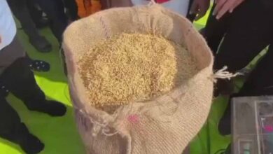 कवर्धा : धान उपार्जन 2025-26 : पहले दिन 306.8 क्विंटल खरीदी कवर्धा : धान उपार्जन 2025-26 : पहले दिन 306.8 क्विंटल खरीदी