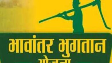 भावांतर योजना में आज 4036 रुपए प्रति क्विंटल का मॉडल रेट जारी