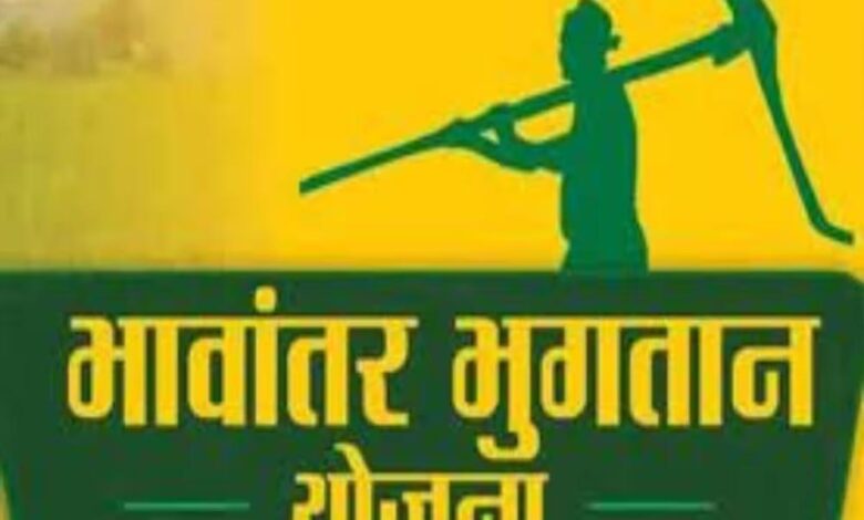 भावांतर योजना में आज 4036 रुपए प्रति क्विंटल का मॉडल रेट जारी