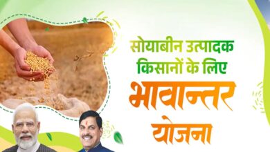 भावांतर योजना में आज का मॉडल रेट 4056 रुपए प्रति क्विंटल जारी