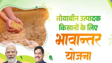 भावांतर योजना में आज बढ़कर 4130 रुपए मॉडल रेट जारी भावांतर योजना में आज बढ़कर 4130 रुपए मॉडल रेट जारी