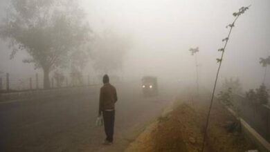 उत्तर-मध्य छत्तीसगढ़ में 2 दिन शीतलहर, अंबिकापुर में 10 साल में सबसे ज्यादा ठंड; 13 जिलों में यलो अलर्ट उत्तर-मध्य छत्तीसगढ़ में 2 दिन शीतलहर, अंबिकापुर में 10 साल में सबसे ज्यादा ठंड; 13 जिलों में यलो अलर्ट