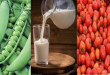 मध्य प्रदेश कृषि में अव्वल: टमाटर में पहला, मटर में दूसरा स्थान; दुग्ध उत्पादन 20% बढ़ाने का लक्ष्य