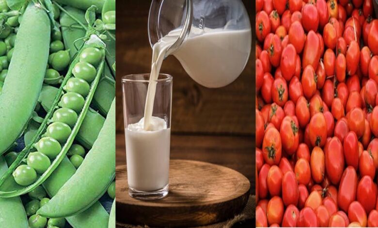 मध्य प्रदेश कृषि में अव्वल: टमाटर में पहला, मटर में दूसरा स्थान; दुग्ध उत्पादन 20% बढ़ाने का लक्ष्य मध्य प्रदेश कृषि में अव्वल: टमाटर में पहला, मटर में दूसरा स्थान; दुग्ध उत्पादन 20% बढ़ाने का लक्ष्य