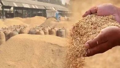 गौरेला पेंड्रा मरवाही : धान खरीदी के पहले दिन दो केंद्रों में आठ किसानों ने बेचा 506.80 क्विंटल धान गौरेला पेंड्रा मरवाही : धान खरीदी के पहले दिन दो केंद्रों में आठ किसानों ने बेचा 506.80 क्विंटल धान