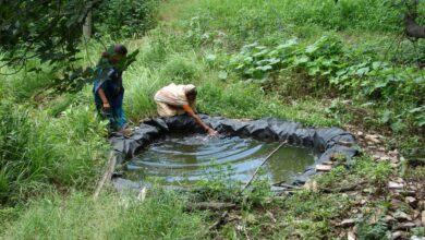 उत्तराखंड: मोहन चंद्र कांडपाल को राष्ट्रीय जल सम्मान