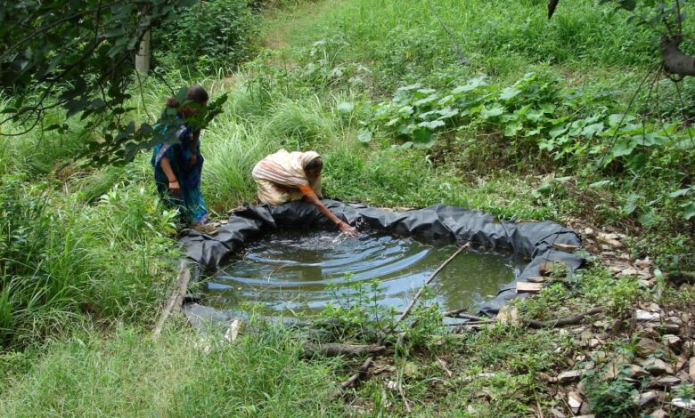 उत्तराखंड: मोहन चंद्र कांडपाल को राष्ट्रीय जल सम्मान उत्तराखंड: मोहन चंद्र कांडपाल को राष्ट्रीय जल सम्मान