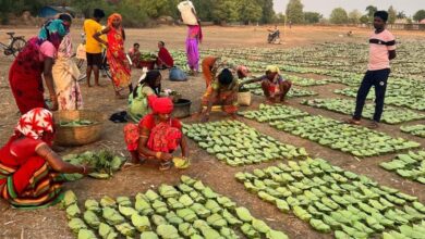 रायपुर : छत्तीसगढ़ राज्य निर्माण के 25 वर्षों की सफलता की कहानी, वनोपज, जल संरक्षण और ईको टूरिज्म से बढ़ी समृद्धि रायपुर : छत्तीसगढ़ राज्य निर्माण के 25 वर्षों की सफलता की कहानी, वनोपज, जल संरक्षण और ईको टूरिज्म से बढ़ी समृद्धि