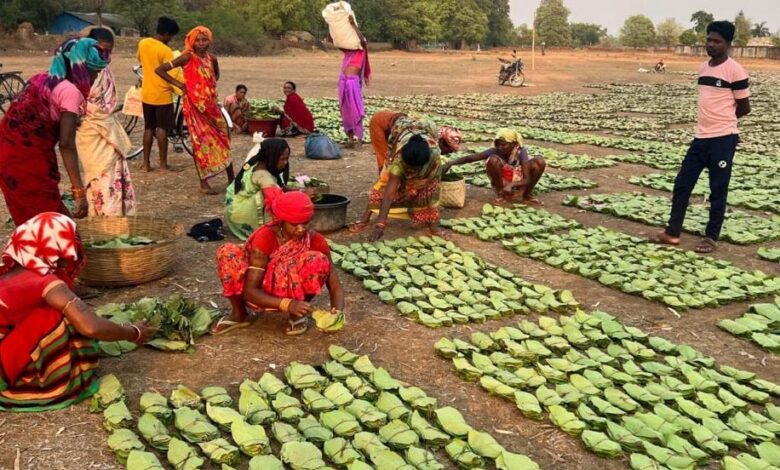 रायपुर : छत्तीसगढ़ राज्य निर्माण के 25 वर्षों की सफलता की कहानी, वनोपज, जल संरक्षण और ईको टूरिज्म से बढ़ी समृद्धि