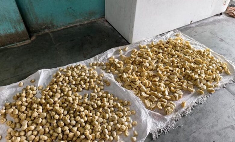 इंदौर में बड़ी कार्रवाई: ‘चिंटू मोमो’ फैक्ट्री सील, 150 किलो मिलावटी माल जब्त इंदौर में बड़ी कार्रवाई: ‘चिंटू मोमो’ फैक्ट्री सील, 150 किलो मिलावटी माल जब्त