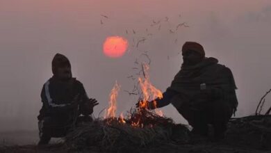 राजगढ़ का पारा 9 डिग्री, पचमढ़ी से भी ठंडा; भोपाल-इंदौर में मौसम का नया रिकॉर्ड