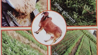 कृषि विश्वविद्यालय में प्राकृतिक खेती पर राष्ट्रीय संगोष्ठी कल: राज्यपाल रमेन डेका संगोष्ठी का शुभारंभ करेंगे, मुख्यमंत्री साय करेंगे अध्यक्षता….