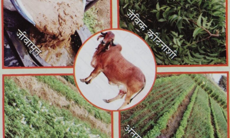 कृषि विश्वविद्यालय में प्राकृतिक खेती पर राष्ट्रीय संगोष्ठी कल: राज्यपाल रमेन डेका संगोष्ठी का शुभारंभ करेंगे, मुख्यमंत्री साय करेंगे अध्यक्षता….