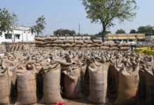 धान खरीदी महाभियान 2025 धान खरीदी सुगमता से जारी,अब तक 11875 मेट्रिक टन की खरीदी। धान खरीदी महाभियान 2025 धान खरीदी सुगमता से जारी,अब तक 11875 मेट्रिक टन की खरीदी।