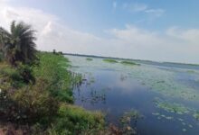 कोपरा जलाशय को मिलेगा रामसर स्थल का दर्जा,राज्य वेटलैंड प्राधिकरण ने भेजा प्रस्ताव कोपरा जलाशय को मिलेगा रामसर स्थल का दर्जा,राज्य वेटलैंड प्राधिकरण ने भेजा प्रस्ताव