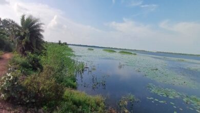 कोपरा जलाशय को मिलेगा रामसर स्थल का दर्जा,राज्य वेटलैंड प्राधिकरण ने भेजा प्रस्ताव