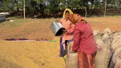 खरीफ उपार्जन शुरू होते ही धमतरी में लौटी रौनक