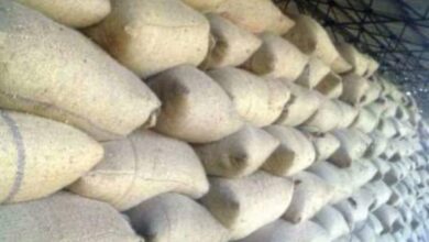 सरकार की किसान हितैषी नीतियों से बढ़ा किसानों का भरोसा