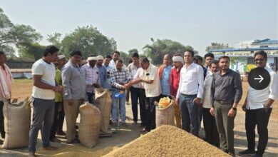 राज्य में अब तक 23.67 लाख क्विंटल धान उपार्जित राज्य में अब तक 23.67 लाख क्विंटल धान उपार्जित