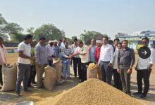 छत्तीसगढ़ में धान खरीदी प्रारंभ,किसानों की मेहनत का सम्मान हमारा संकल्प – मुख्यमंत्री विष्णु देव साय छत्तीसगढ़ में धान खरीदी प्रारंभ,किसानों की मेहनत का सम्मान हमारा संकल्प – मुख्यमंत्री विष्णु देव साय