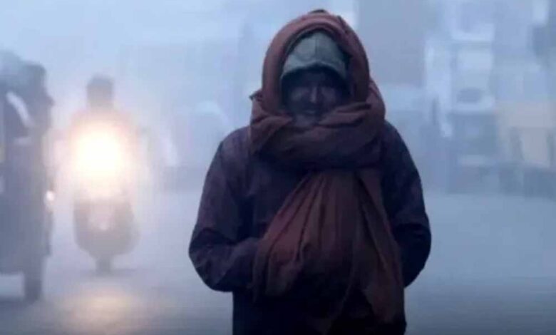 एमपी में ठंड का कहर: 16 नवंबर तक चलेगी कड़ाके की Cold Wave, 16 जिलों में अलर्ट जारी