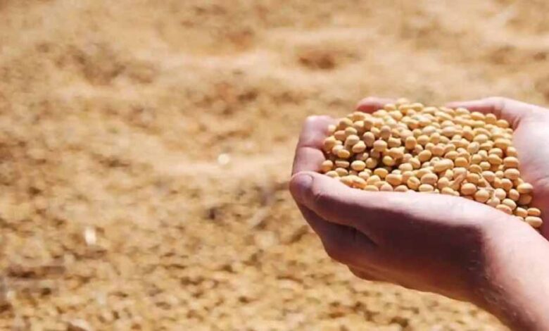 भावांतर योजना में आज बढ़कर 4077 रुपए मॉडल रेट जारी भावांतर योजना में आज बढ़कर 4077 रुपए मॉडल रेट जारी