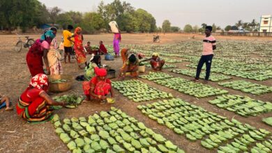 छत्तीसगढ़ राज्य निर्माण के 25 वर्षों की सफलता की कहानी: वनोपज, जल संरक्षण और ईको टूरिज्म से बढ़ी समृद्धि…. छत्तीसगढ़ राज्य निर्माण के 25 वर्षों की सफलता की कहानी: वनोपज, जल संरक्षण और ईको टूरिज्म से बढ़ी समृद्धि….