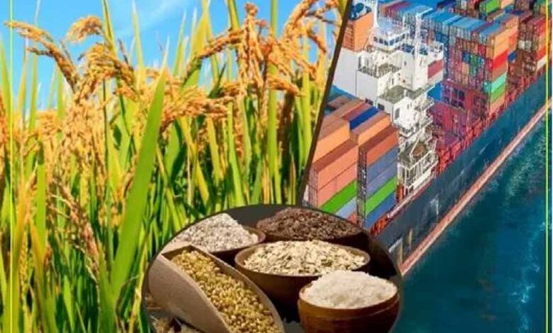 मध्यप्रदेश बना भारत का फूड-बास्केट, कृषि विकास में रचा नया इतिहास