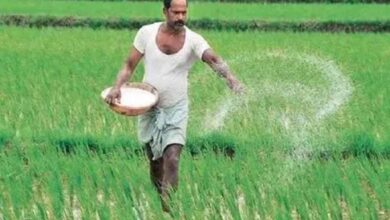 MP में किसानों को बड़ी राहत: अब घर-घर पहुंचेगी खाद, 3 जिलों में शुरू हुई नई सुविधा