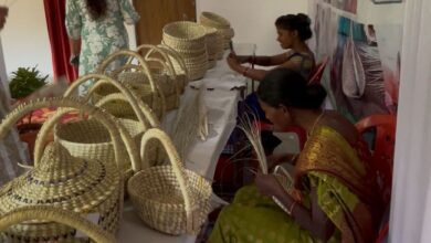 संभाग स्तरीय सरस मेला में दिखेगी महिला सशक्तिकरण की झलक: 6 से 9 नवंबर तक जशपुर के मयाली में लगेगा सरस मेला….