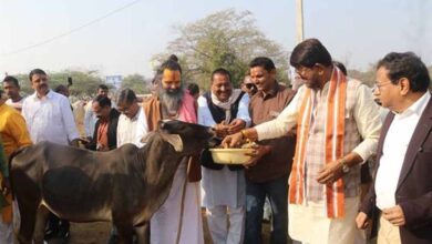 प्रदेश में अधिक से अधिक बनें स्वावलंबी गो-शालाएँ : राज्यमंत्री पटेल