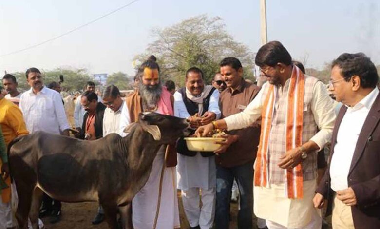 प्रदेश में अधिक से अधिक बनें स्वावलंबी गो-शालाएँ : राज्यमंत्री पटेल प्रदेश में अधिक से अधिक बनें स्वावलंबी गो-शालाएँ : राज्यमंत्री पटेल