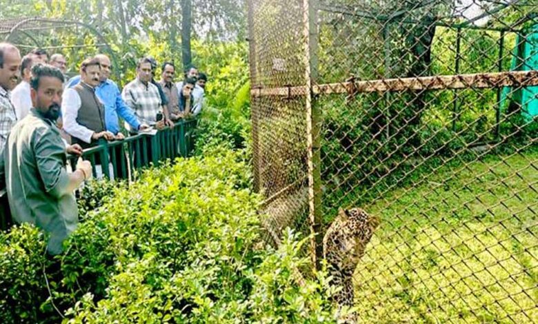 उप मुख्यमंत्री राजेन्द्र शुक्ल ने व्हाइट टाइगर सफारी का किया भ्रमण
