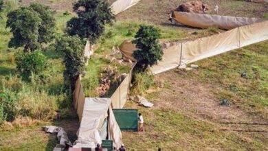 सेवा भाव और वन्य जीव संरक्षण का प्रतीक है देश का पहला हाई-टेक वन्य जीव कैप्चर अभियान : मुख्यमंत्री डॉ. यादव सेवा भाव और वन्य जीव संरक्षण का प्रतीक है देश का पहला हाई-टेक वन्य जीव कैप्चर अभियान : मुख्यमंत्री डॉ. यादव