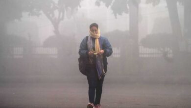 MP में शीतलहर का कहर: भोपाल, इंदौर-उज्जैन ठिठुरे, राजगढ़ में पारा 8°C से नीचे, 20 जिलों में कोल्ड वेव