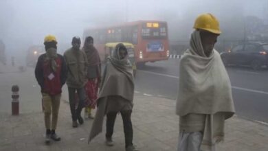 मध्य प्रदेश में नवंबर की सबसे ठंडी सुबह! इंदौर-भोपाल में पुराने रिकॉर्ड टूटे, अब कोहरा भी छाएगा