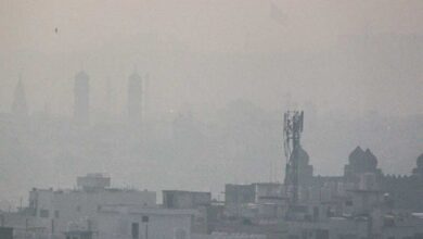मध्य प्रदेश में कोल्ड वेव की चेतावनी, 5°C से नीचे जाएगा पारा; 9 जिलों में बदली स्कूल टाइमिंग