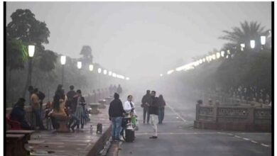 भोपाल-इंदौर और राजगढ़ में सीवियर कोल्ड वेव अलर्ट, जबलपुर में सीजन की सबसे ठंडी रात