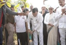 एक पेड़ मां के नाम अभियान के तहत किया पौधरोपण: उद्योग मंत्री देवांगन…..