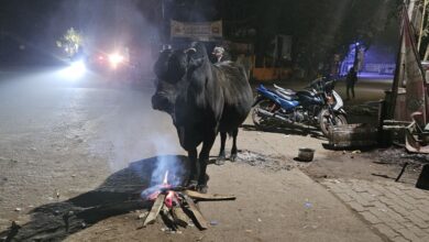 ठंड का कहर: कटिहार में जनजीवन अस्त-व्यस्त