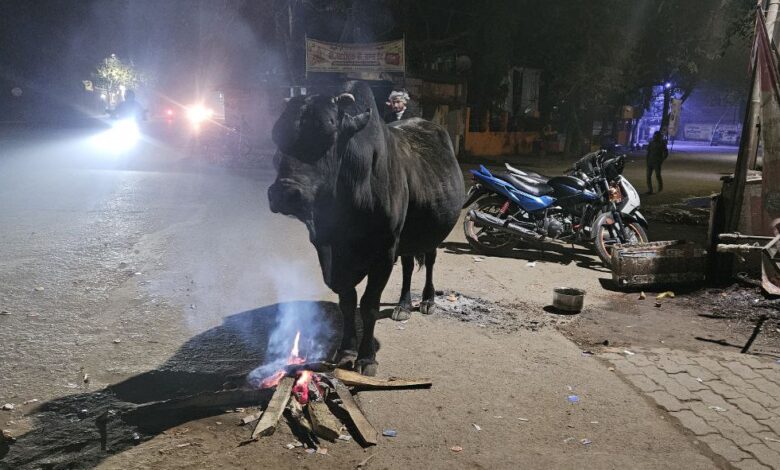 ठंड का कहर: कटिहार में जनजीवन अस्त-व्यस्त