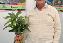 कटिहार के ‘मैंगो मैन’ कालीदास बनर्जी ने चितरंजन आम किया विकसित