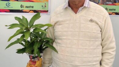 कटिहार के ‘मैंगो मैन’ कालीदास बनर्जी ने चितरंजन आम किया विकसित